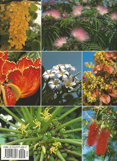 floridas fabulous trees their stories PDF