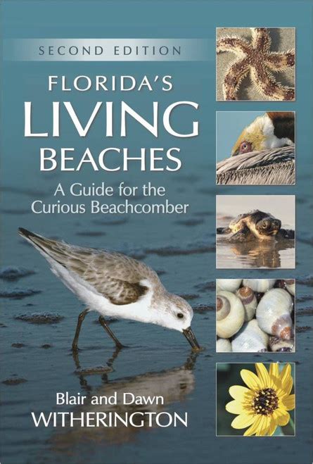 floridas living beaches a guide for the curious beachcomber Reader