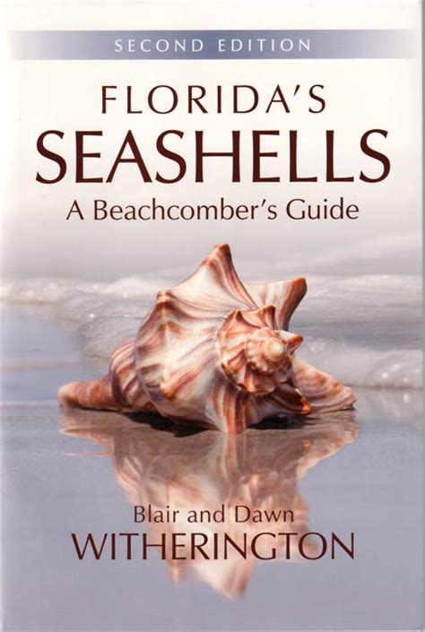 floridas seashells a beachcombers guide Doc