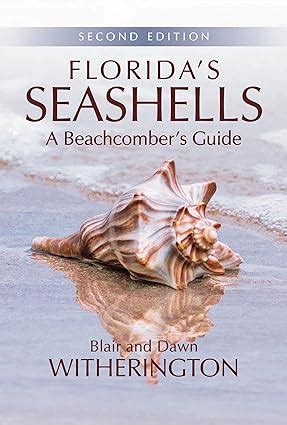 floridas seashells a beachcombers guide Doc