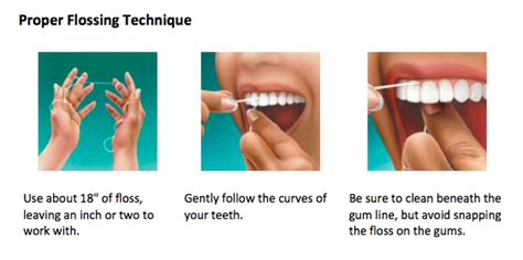 flossing technique for beginners using gentle guidance between teeth