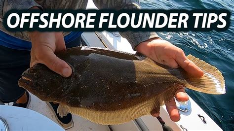 flounder fishing tactics and techniques Reader