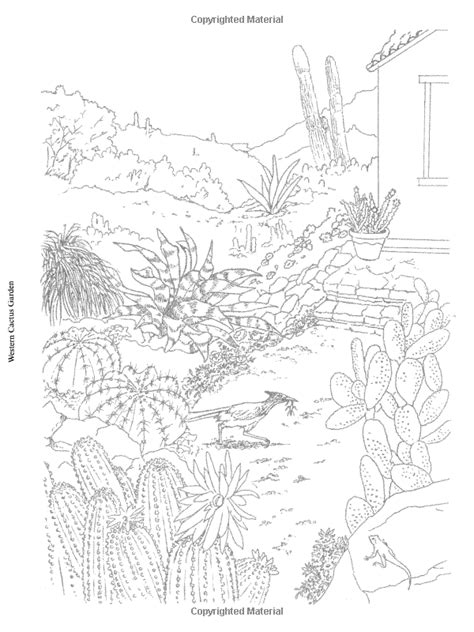 flower gardens to paint or color dover art coloring book Doc