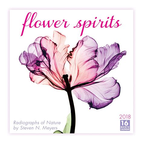 flower spirits radiographs of nature 2015 wall calendar PDF