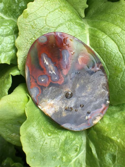 flowering agate