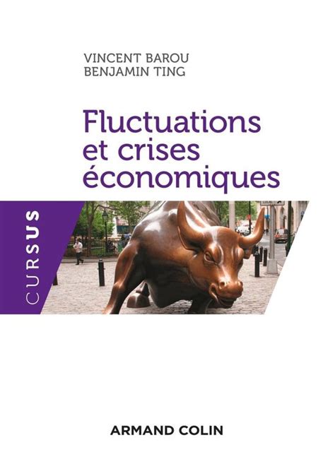 fluctuations crises conomiques vincent barou Kindle Editon