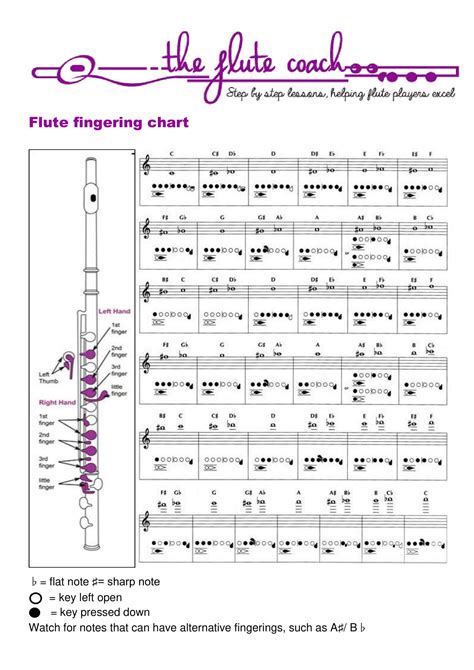 Flute Fingering Chart Free