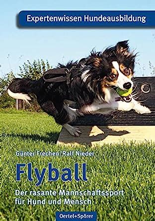 flyball rasante mannschaftssport hund mensch Epub