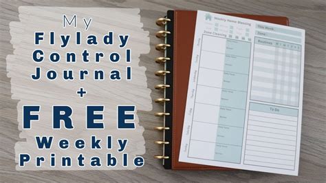 flylady moving control journal Reader