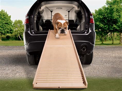 folding dog ramp