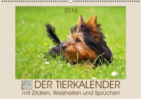 folen 2016 wandkalender tierkalender spiralbindung Kindle Editon