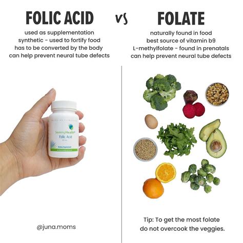 folic acid and folates folic acid and folates Reader