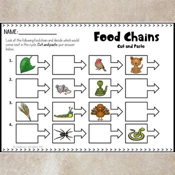 food chains activities learning resources Reader