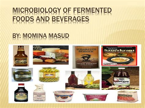 food fermentation and micro organisms Epub