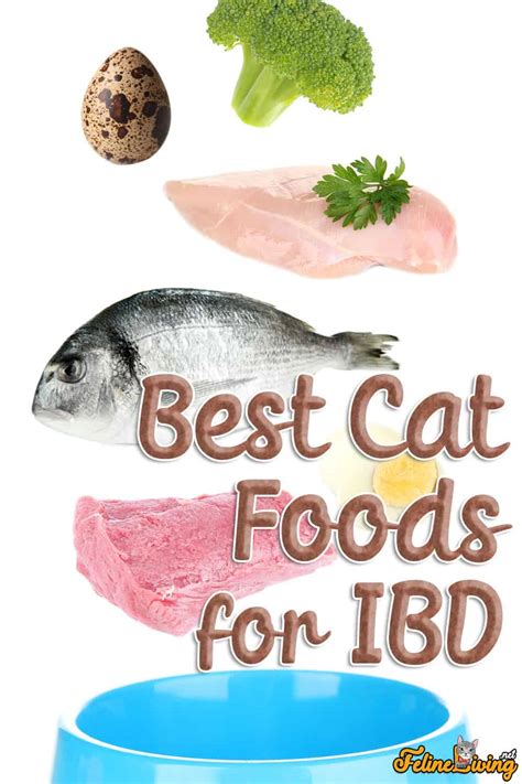 food for cats with ibd