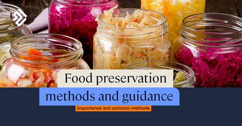 food processing and preservation food processing and preservation Kindle Editon