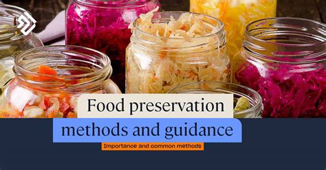 food processing and preservation food processing and preservation Kindle Editon