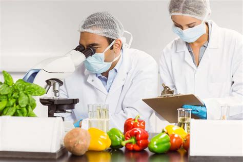 food scientist jobs