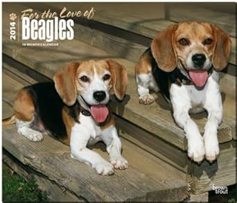 for the love of beagles 2014 18 month calendar multilingual edition PDF