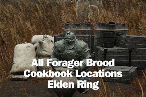 forager brood cookbook 4