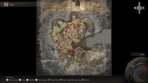 forager brood locations