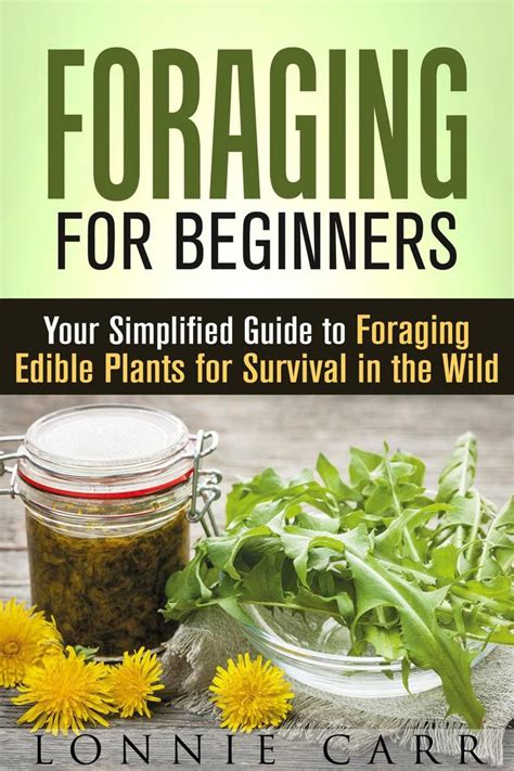 foraging a beginners guide to foraging wild edible plants and herbs Kindle Editon
