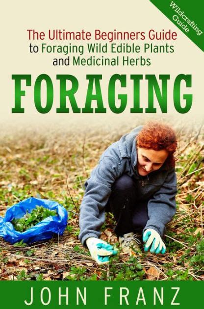 foraging a beginners guide to foraging wild edible plants and herbs Kindle Editon