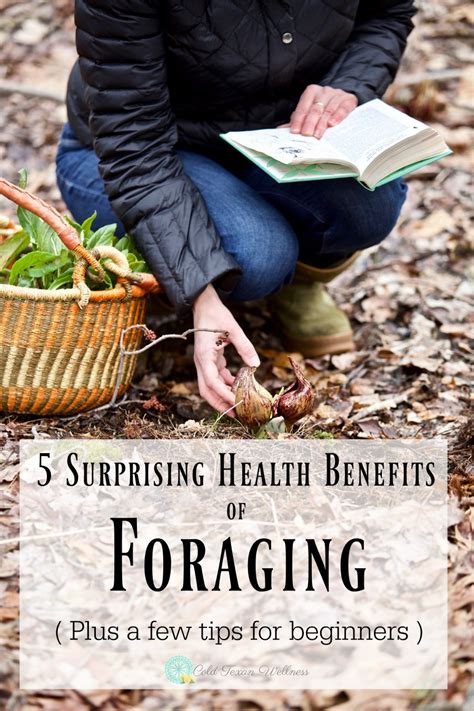foraging amazing benefits medicinal healing Reader