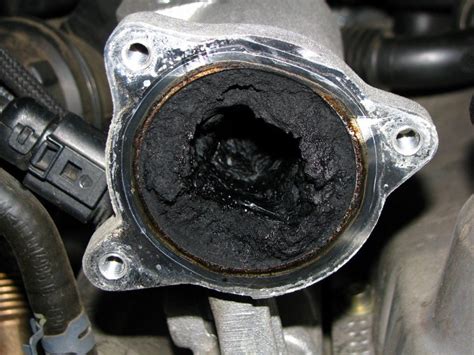 ford 60 diesel egr problems Reader