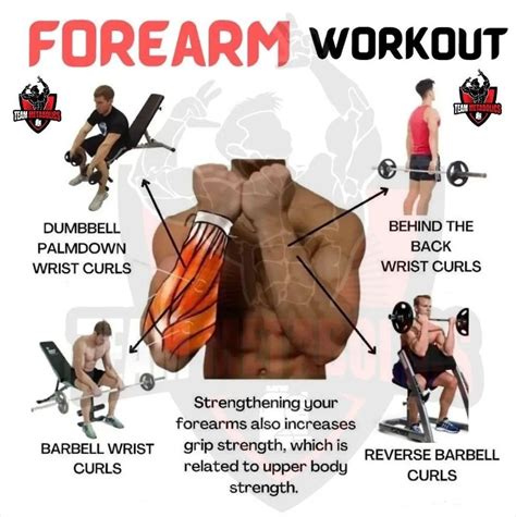 Forearms Workout Chart