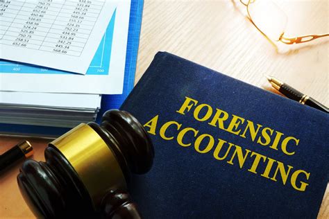 forensic accounting and fraud examination solution Doc