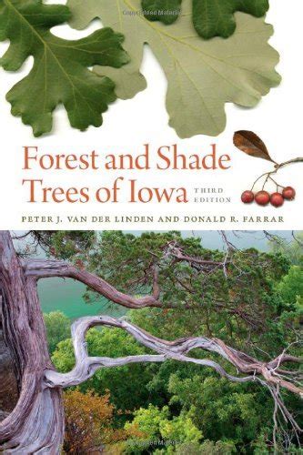 forest and shade trees of iowa bur oak guide PDF