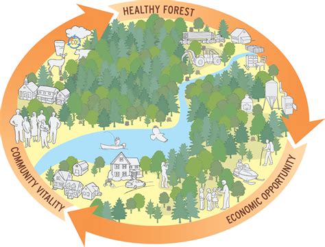 forest economics forest economics PDF