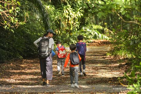 forest school singapore