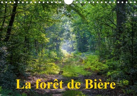 foret biere 2016 paysages fontainebleau Reader