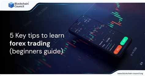 forex quick guide for beginners PDF