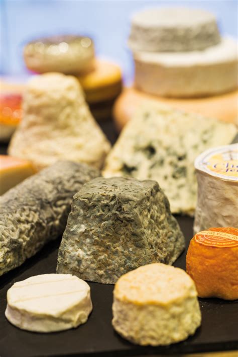formatges els 50 millors de catalunya altres cuina Reader