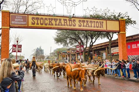 forth worth stockyards images of america PDF