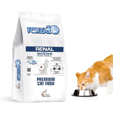 forza10 renal cat food review