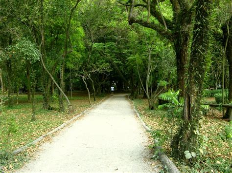 foto corrida ibirapuera