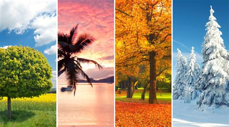 four distinct seasons