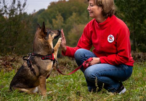 fourpaws com｜14 年動物保護經驗，見證千萬生命獲救