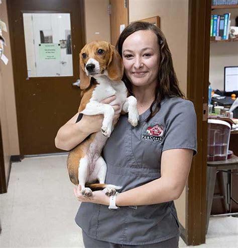 fox creek veterinary hospital