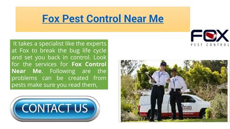 Fox Pest Control Near Me
