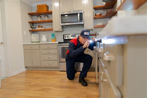 fox pest control pittsburgh
