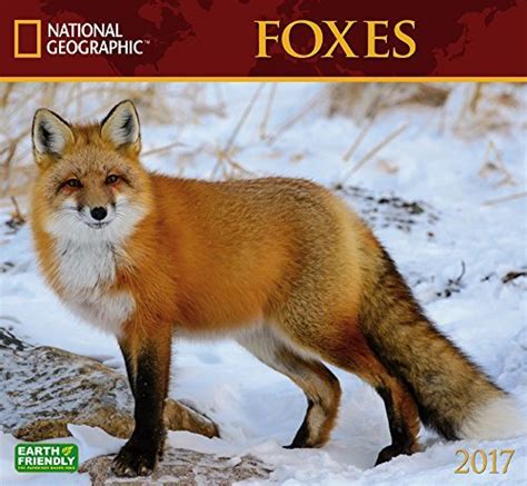 foxes national geographic 2016 wall calendar PDF