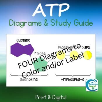 free atp study guide Doc