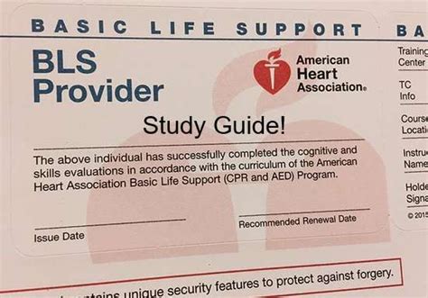 free bls study guide 2013 Reader