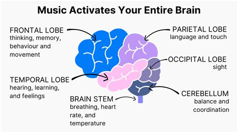 free ebooks this is your brain on music Epub