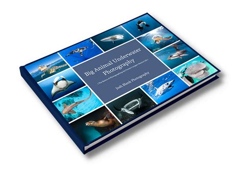 free ebooks underwater photography Kindle Editon